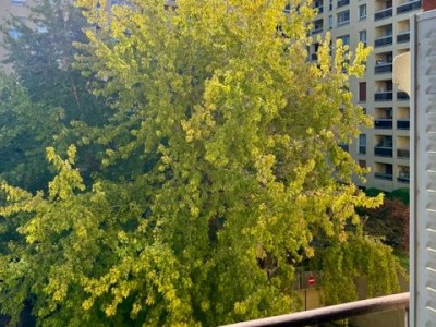 APPARTEMENT T2 A VENDRE - PARIS 12EME ARRONDISSEMENT - 34.61 m2 - 283 500 €